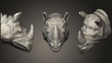 3D model Rhino Coat Hanger (STL)